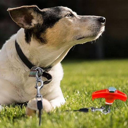 ⛺Drehbare Zeltheringe mit Gewinde