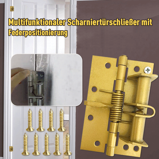 Multifunktionaler Scharniertürschließer mit Federpositionierung