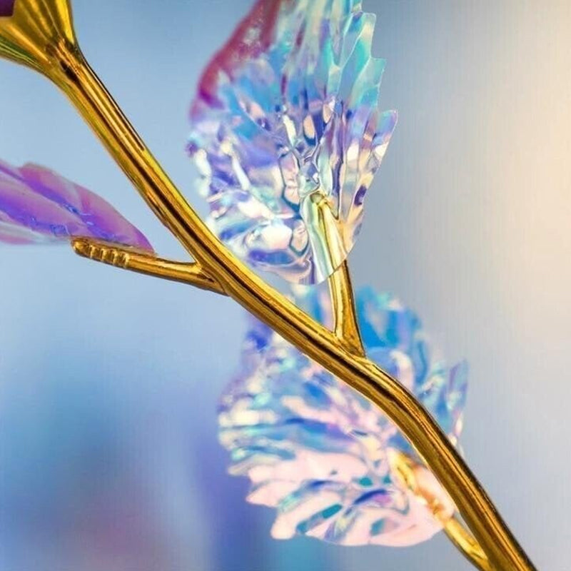 🎁Bunte Galaxy Rose✨✨