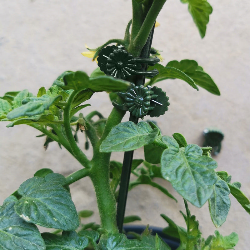🌺Befestigungsclip für Pflanzenblumen an Stützstangen🌺