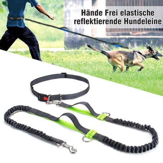 Hände Frei elastische reflektierende Hundeleine
