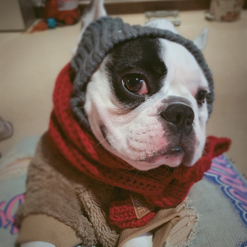 Winter Wollmütze für Hund