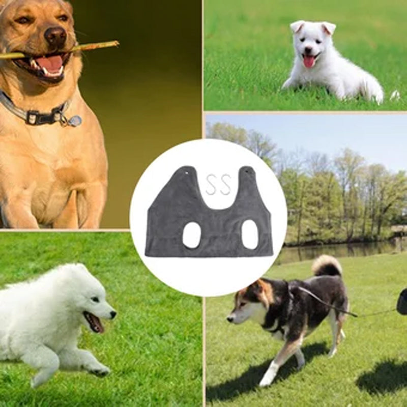 Haustierpflege Hängematte