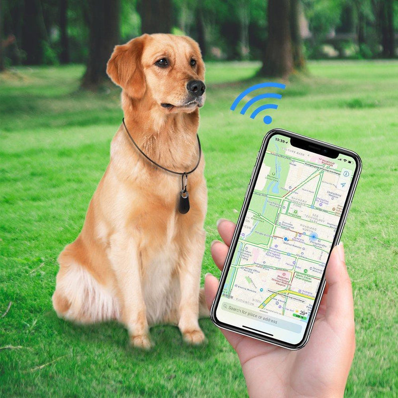 Haustiere GPS-Tracker & Aktivitätsmonitor