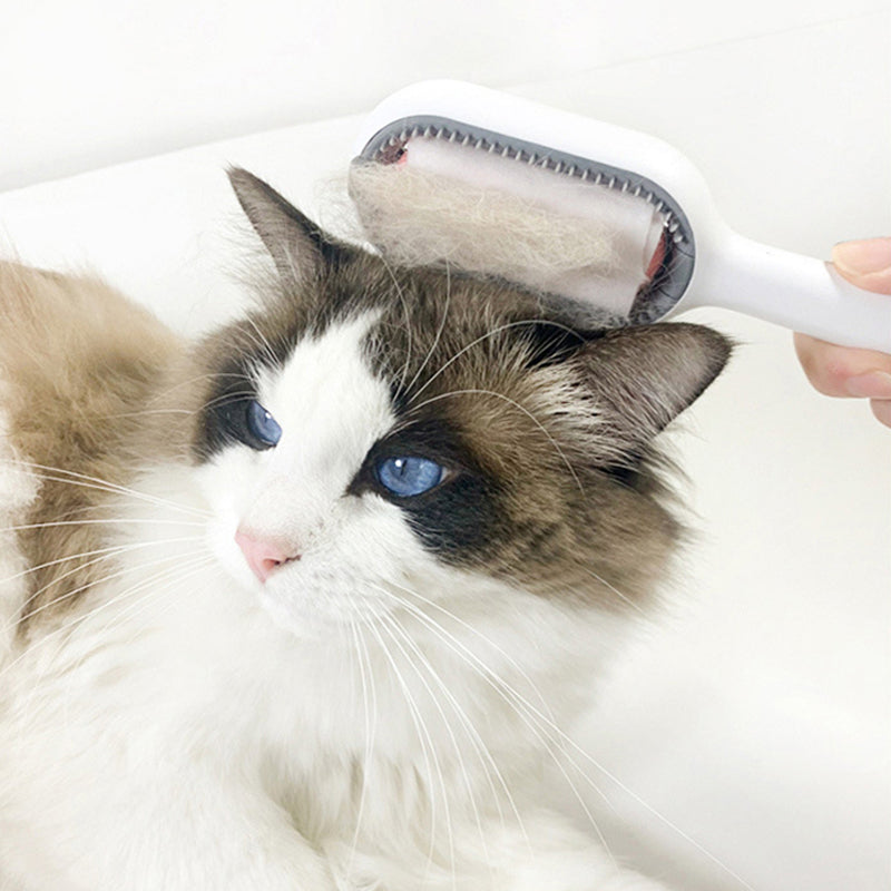 Haustier Reinigung Haarentfernung Kamm