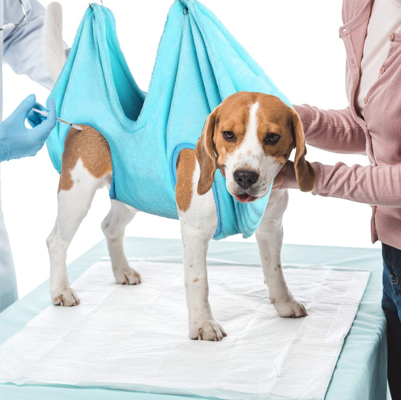 Haustierpflege Hängematte