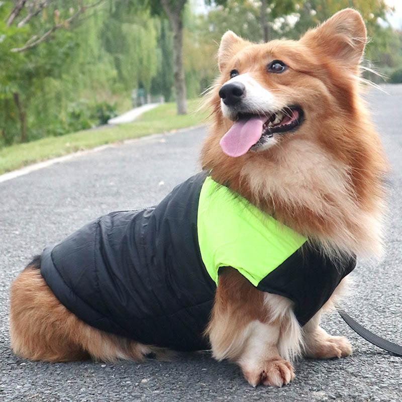 Hund Weste Jacke für kaltes Wetter mit Reißverschluss und Leinenring