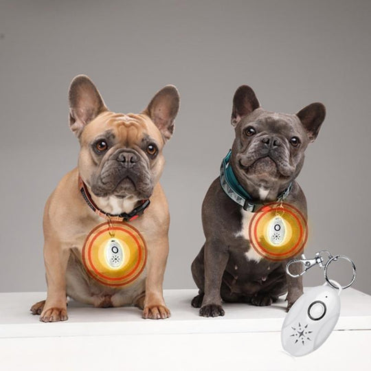 Ultraschall Floh- und Zecken Repellent