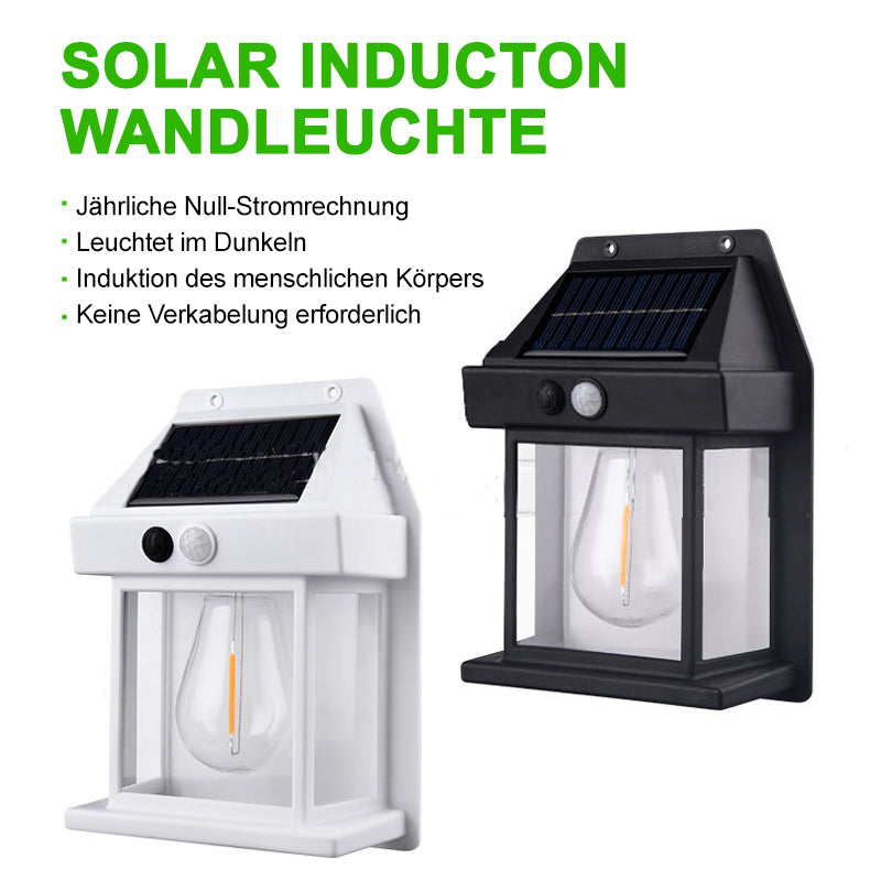 🌞Solar Wolfram Wandleuchte für den Außenbereich💡