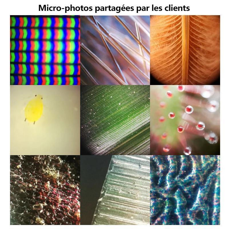 400X Handy-Mikroskop